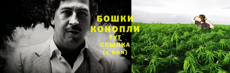 Конопля Ganja  OMG зеркало  Красный Кут 